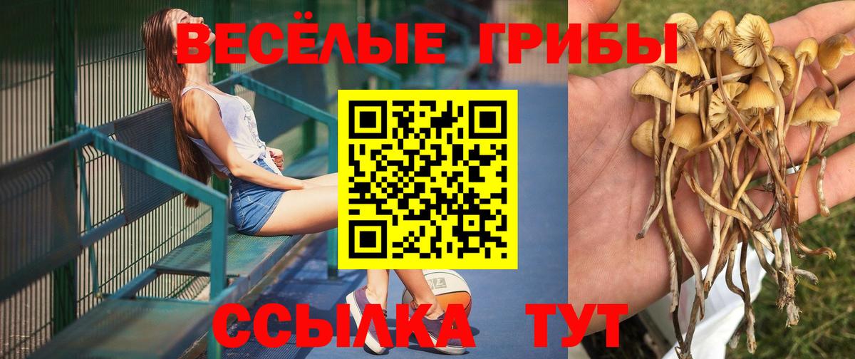 Псилоцибиновые грибы мицелий  Вход с VPN  Галлюциногенные грибы MAGIC MUSHROOMS  Славянск-на-Кубани 